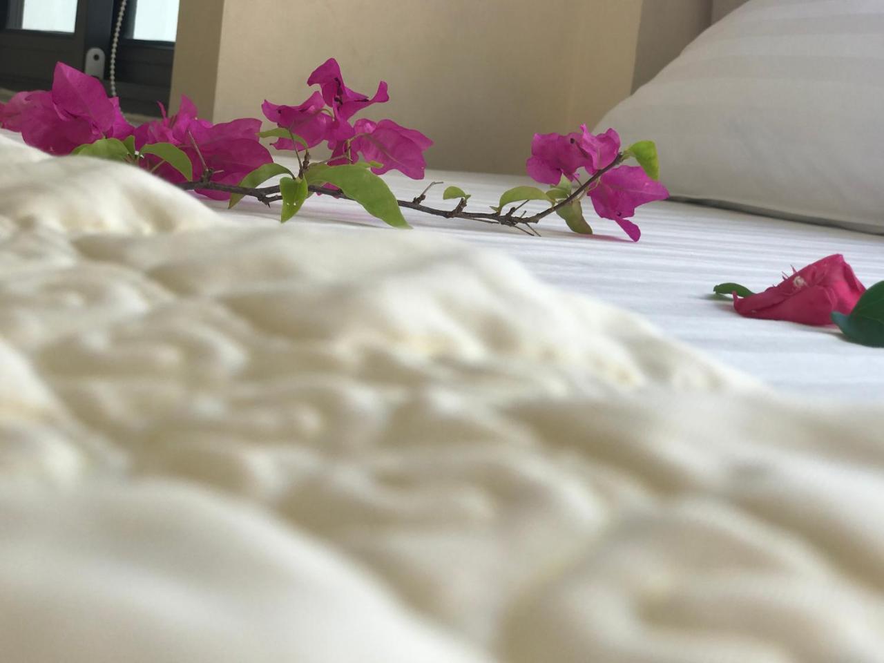 Ha Vy Hotel Cat Ba Island Exterior foto
